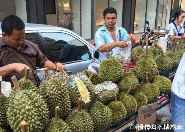 游客在新加坡酒店食用榴莲遭重罚的案例研究