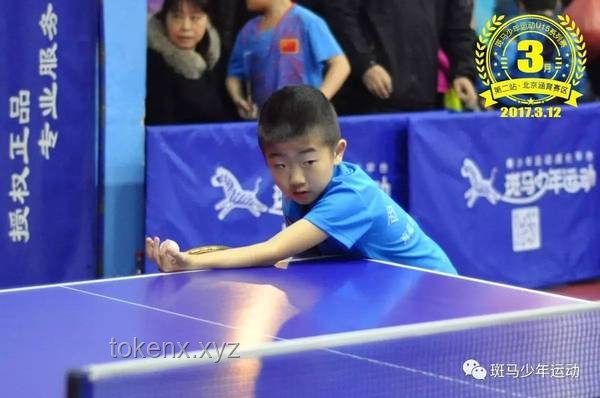 樊振东加盟德甲，乒乓新征途的启示录🏆,热血,挑战,成长,梦想