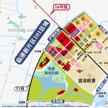 名师点评视角下的2025上海高考作文题洞察